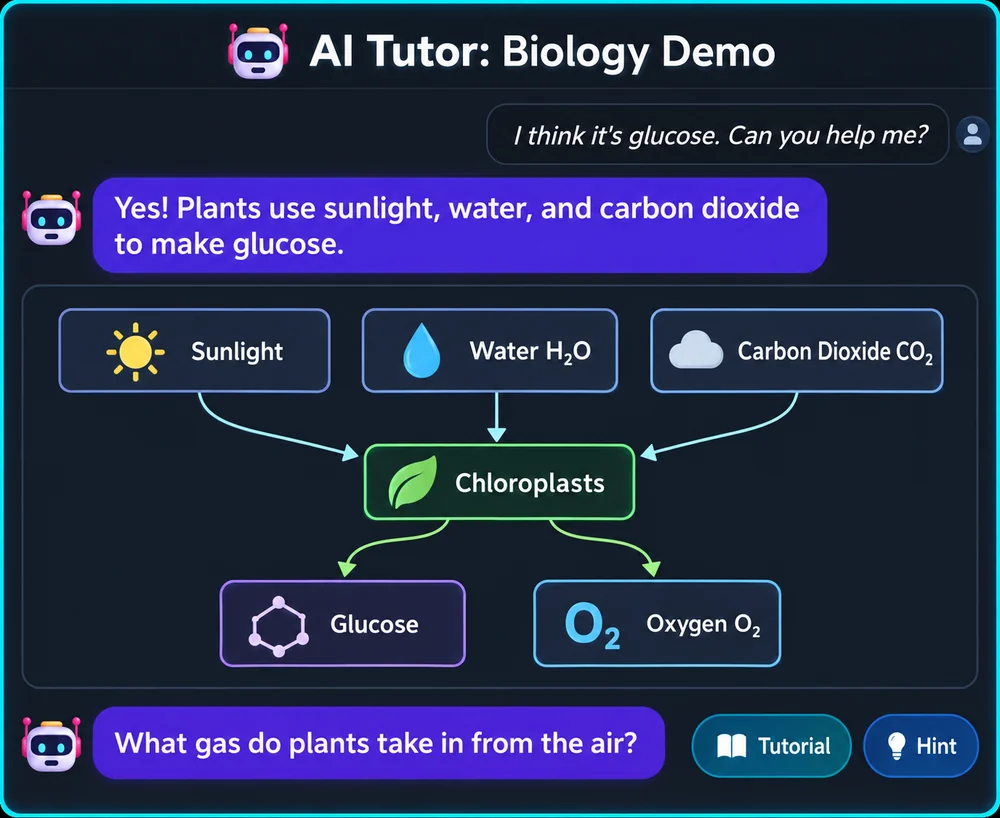 AI Socratic tutor conversation and a clear photosynthesis diagram